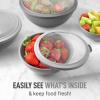 imageZulay Kitchen 12 Piece Plastic Mixing Bowls with LeakProof Lids Set  Microwave and Freezer Safe Kitchen Mixing Bowls for Preparing Serving and Storing  Large Nesting Bowls Blue OmbreGraphite Gray