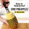 imageZulay Kitchen Stainless Steel Pineapple Corer ampamp Slicer  Eye Removal Tool  Heavy Duty Pineapple Cutter with Reinforced Blade  Effortless Pineapple Core Remover ampamp Slicer  Periwinkle BlueBlack