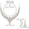 imageBriLove Womens Wedding Bridal Austrian Crystal Teardrop Cluster Statement Necklace Dangle Earrings Jewelry Set09Clear GoldTone