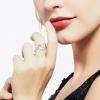 imageBriLove 925 Sterling Silver CZ Statement Ring Horoscope Zodiac 12 Constellation Astrology Adjustable Rings for Mom Women Mothers DayValentines DayBirthdayChristmasAnniversaryPisces  Full Ver