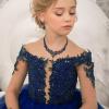 imageBriLove Alloy Crystal Teardrop Cluster Statement Necklace Clipon Earrings Set07Sapphire Color BlackTone
