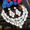 imageBriLove Womens Wedding Bridal Crystal Cream Simulated Pearl Cluster Statement Necklace Dangle Earrings SetSilverTone