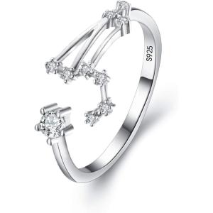 imageBriLove 925 Sterling Silver CZ Statement Ring Horoscope Zodiac 12 Constellation Astrology Adjustable Rings for Mom Women Mothers DayValentines DayBirthdayChristmasAnniversaryLeo  Full Ver
