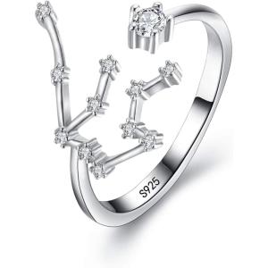 imageBriLove 925 Sterling Silver CZ Statement Ring Horoscope Zodiac 12 Constellation Astrology Adjustable Rings for Mom Women Mothers DayValentines DayBirthdayChristmasAnniversaryAquarius  Full Ver