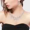 imageBriLove Wedding Bridal Simulated Pearl Necklace Earrings Jewelry Set for Women Filigree Vine YNecklace Dangle Earring Clear SilverTone