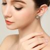 imageBriLove Womens Victorian Style Crystal Floral Cameo Inspired Oval ClipOn EarringsChampagne AntiqueGoldTone