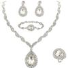 imageBriLove Womens Africa 18k Gold Plated Jewelry Set Crystal Rhinestones Petals Teardrop Cluster Bib Statement Necklace Link Bracelet Dangle Earrings Ring for Prom01Clear SilverTone