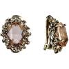 imageBriLove Womens Victorian Style Crystal Floral Cameo Inspired Oval ClipOn EarringsChampagne AntiqueGoldTone