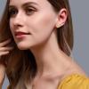 imageBriLove 925 Sterling Silver Gifts for Mom Women Cubic Zirconia Sunflower Stud Earrings 14K GoldToned for Daily WearMothers DayValentines DayBirthdayChristmasAnniversary
