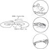 imageBriLove Gifts for Mom Women 925 Sterling Silver CZ Horoscope Zodiac 12 Constellation Astrology Link Bracelet for Mothers DayValentines DayBirthdayChristmasAnniversaryAquarius Jan 20  Feb 18