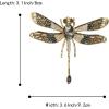 imageBriLove Rhinestone Dragonfly Brooch Pin for Women Insect Themed Animal BroochesBlack GoldTone