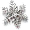 imageBriLove Womens Austrian Crystal Art Deco Winter Snowflake Brooch Pin for WomenStar Snowflake