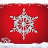 imageBriLove Womens Austrian Crystal Art Deco Winter Snowflake Brooch Pin for WomenWinter Snowflake
