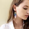 imageBriLove Butterfly Wing Hook Earrings Elegant Crystal Insect Dragonfly Drop Dangle Jewelry for Women4 Pairs