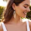 imageBriLove Butterfly Wing Hook Earrings Elegant Crystal Insect Dragonfly Drop Dangle Jewelry for WomenIridescent AB SilverTone