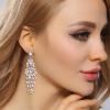 imageBriLove Womens Wedding Bridal Crystal Multi MarquiseShape Leaf Cluster Chandelier Dangle EarringsClear GoldTone