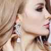 imageBriLove Womens Bohemian Boho Crystal Flower Wedding Bridal Chandelier Teardrop Bling Dangle Earrings01Clear SilverTone