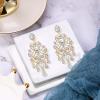 imageBriLove Womens Vintaged Style Wedding Bridal Crystal Drop Hollow Chandelier Filigree Dangle EarringsClear GoldTone