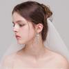 imageBriLove Womens Wedding Bridal Crystal Cluster Teardrop Dangle Earrings01Clear SilverTone