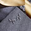 imageBriLove 925 Sterling Silver CZ Horoscope Zodiac 12 Constellation Astrology Ear Crawler Post Earrings Gift for Mom Women Mothers DayValentines DayBirthdayChristmasAnniversaryLeo Jul 23  Aug 22
