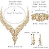 imageBriLove Womens Wedding Bridal Austrian Crystal Teardrop Flower Cluster Statement Necklace Dangle Earrings Jewelry Set for Party Prom3PcsChampagne GoldTone