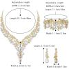 imageBriLove Womens Wedding Bridal Austrian Crystal Teardrop Flower Cluster Statement Necklace Dangle Earrings Jewelry Set for Party Prom3PcsClear GoldTone