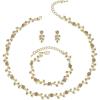 imageBriLove Wedding Jewelry Set for Women Bride Gorgeous Stunning Crystal Flower Leaf Cluster Choker Necklace Link Bracelet Stud Earrings Bridal BridesmaidChampagne GoldTone