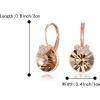 imageBriLove Gorgeous Stunning Cubic Zirconia VShaped Circle Crystal Dangle Earrings Gift for Women Valentines DayMothers DayBirthdayAnniversaryChampagne RoseGoldTone