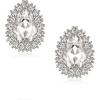 Clear Silver-Tone