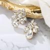imageBriLove ClipOn Earrings Elegant Stunning Teardrop Crystal Rhinestone Cluster Statement Jewelry for Women Party PromClear GoldTone