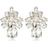 imageBriLove ClipOn Earrings Elegant Stunning Teardrop Crystal Rhinestone Cluster Statement Jewelry for Women Party PromClear GoldTone