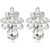 imageBriLove ClipOn Earrings Elegant Stunning Teardrop Crystal Rhinestone Cluster Statement Jewelry for Women Party PromClear SilverTone