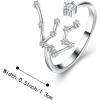 imageBriLove Elegant CZ Statement Adjustable Ring for Women Horoscope Zodiac 12 Constellation Astrology for Valentines DayBirthdayChristmasAquarius  Full Ver