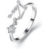imageBriLove Elegant CZ Statement Adjustable Ring for Women Horoscope Zodiac 12 Constellation Astrology for Valentines DayBirthdayChristmasLibra  Full Ver