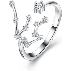 imageBriLove Elegant CZ Statement Adjustable Ring for Women Horoscope Zodiac 12 Constellation Astrology for Valentines DayBirthdayChristmasAquarius  Full Ver