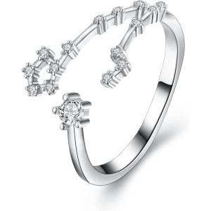imageBriLove Elegant CZ Statement Adjustable Ring for Women Horoscope Zodiac 12 Constellation Astrology for Valentines DayBirthdayChristmasPisces  Full Ver