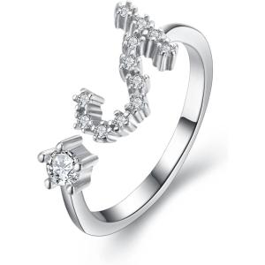 imageBriLove Elegant CZ Statement Adjustable Ring for Women Horoscope Zodiac 12 Constellation Astrology for Valentines DayBirthdayChristmasScorpio  Full Ver