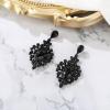 image:imageBriLove Gorgeous Shiny Rhinestones Big Teardrop Cluster Leaf Shape Dangle Earrings for Women Wedding Party Prom Jewelry AccessoryBlack BlackTone