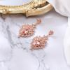 image:imageBriLove Gorgeous Shiny Rhinestones Big Teardrop Cluster Leaf Shape Dangle Earrings for Women Wedding Party Prom Jewelry AccessoryPeach RoseGoldTone