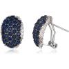 image:imageBriLove Womens Stunning Crystal Rhinestone Cluster Stud Earrings for Party Prom Blue SilverTone