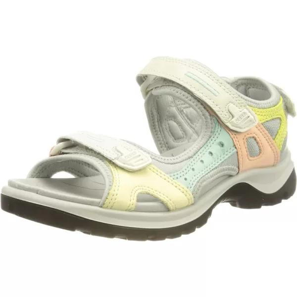 Multicolor Shadow White