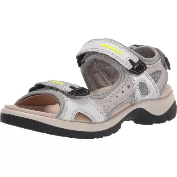 Multicolor Silver Metallic