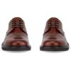 imageECCO Mens London Plain Toe Tie OxfordCognac