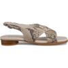 image:imageECCO Womens Sculpted Alba 25 SlingbackLimestonePython