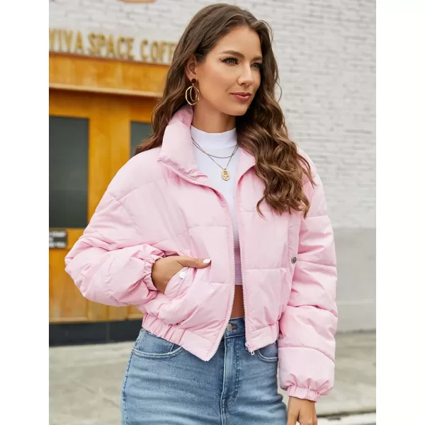 Flygo Women's Cropped Puffer Jacket Zip Up Stand Collar Padded Winter Down Coat