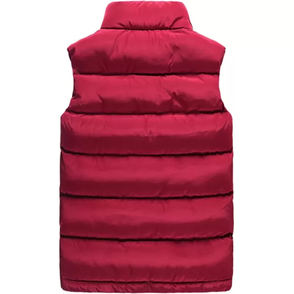 Flygo Men's Casual Winter Warm Outdoor Padded Puffer Vest Quilted Coat Jacket
