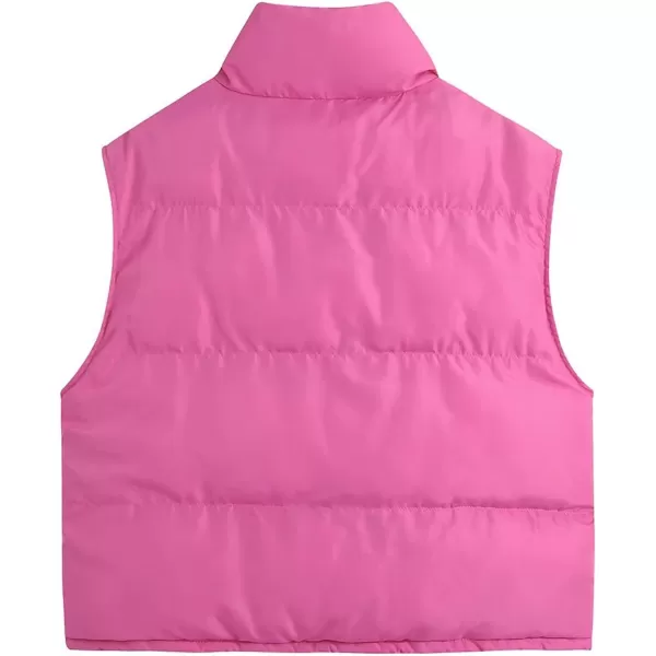 Flygo Women's Casual Lightweight Sleeveless Puffer Vest Outerwear Crop Quilted Gilet