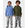 imageFlygo Unisex Boys Girls Fleece Lined Sherpa Hoodie Kids Warm Winter Hoodies Pullover Hooded Sweatshirt Sweater 413YArmy Green