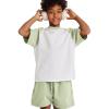 imageFlygo Boys Girls Short Pants Sets 2 Piece Raglan Crewneck Shirts Baseball Tee and Athletic Shorts Kids Active Summer OutfitsLightgreen