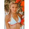 imageFlygo Womens Mesh High Waisted Bikini Set Tassel Trip Hater Neck Top SwimsuitBlue Stripe